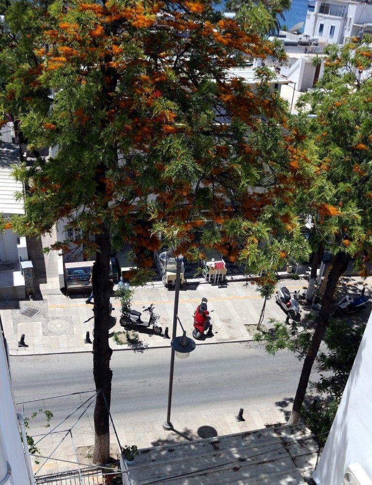 شقة أغان بنسيون بودروم المظهر الخارجي الصورة